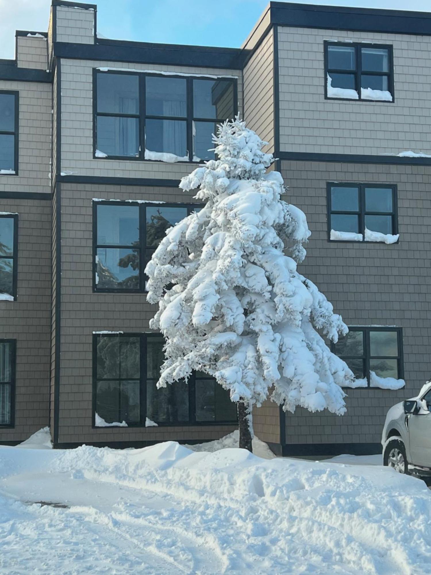 Snowcrest Condo Walking Distance To Slopes Snowshoe Exteriör bild